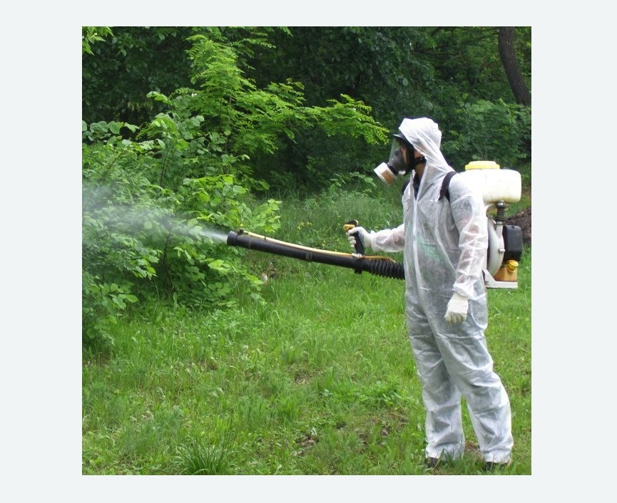 обработка территории от клещей в Фили-Давыдково города Москвы