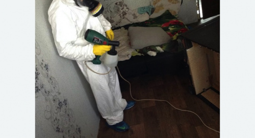 Обработка квартир от насекомых в Фили-Давыдково города Москвы