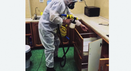 Дезинсекция квартиры. Фили-Давыдково 