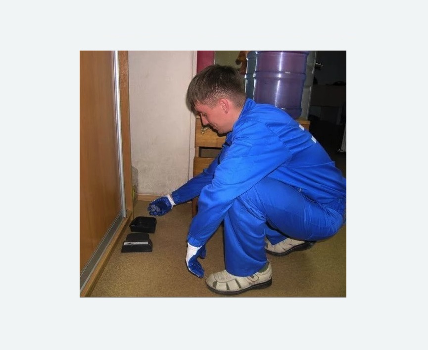 Дератизация крыс в Фили-Давыдково города Москвы