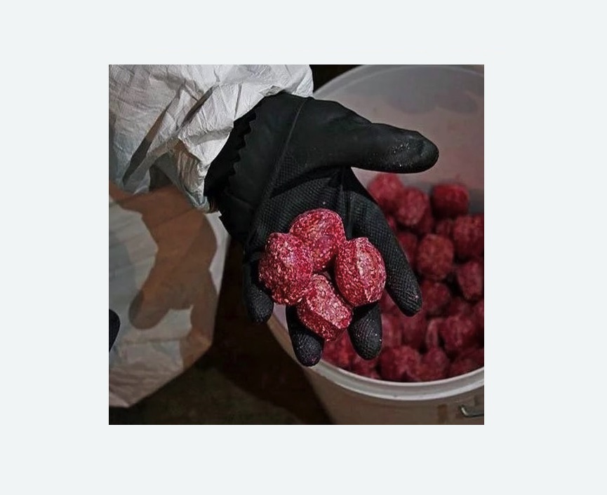 Обработка от крыс в Фили-Давыдково города Москвы