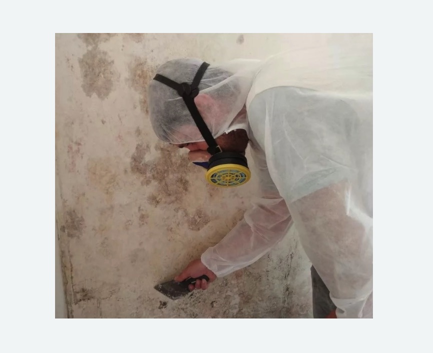 Обработка стен от плесени в Фили-Давыдково города Москвы