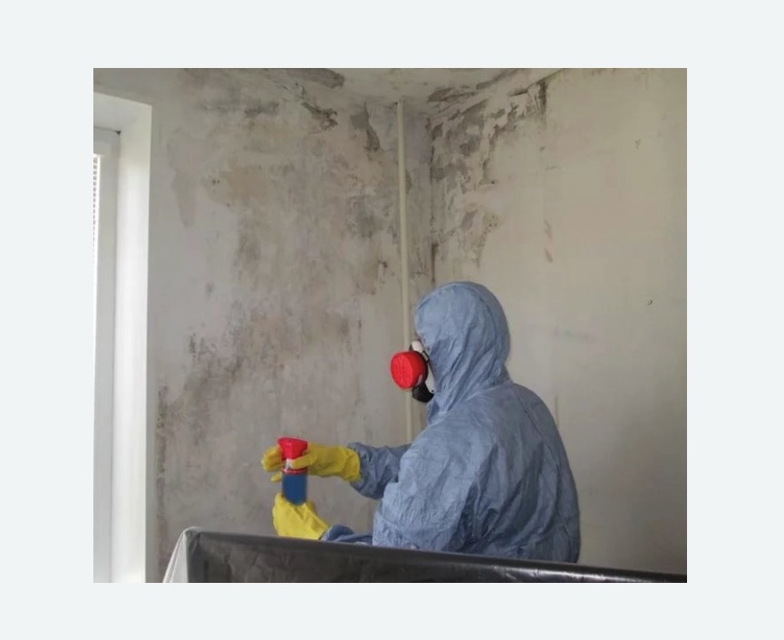 Удаление плесени в квартире в Фили-Давыдково города Москвы