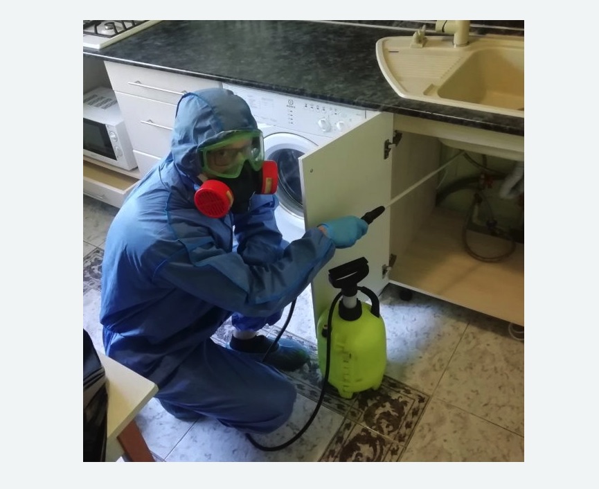 обработка от муравьев в квартире в Фили-Давыдково города Москвы