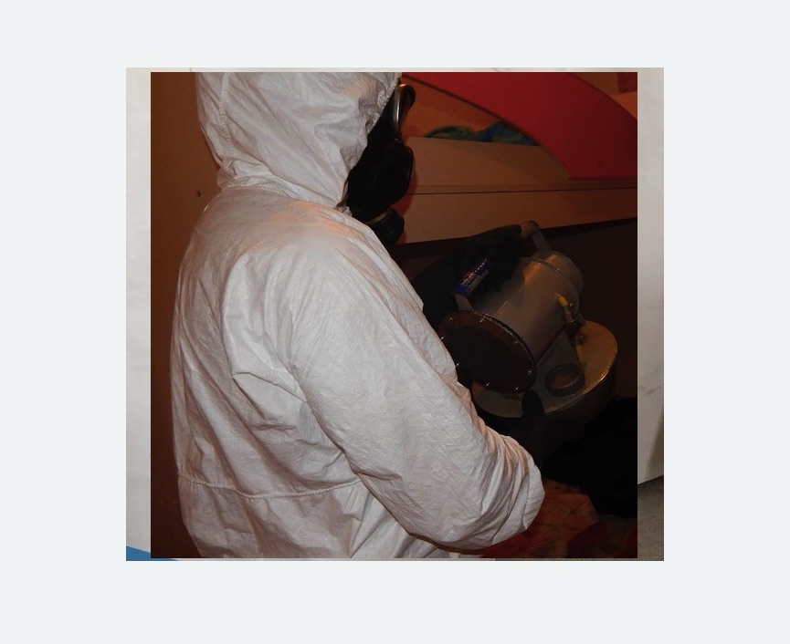 Дезинфекция от муравьев в Фили-Давыдково города Москвы