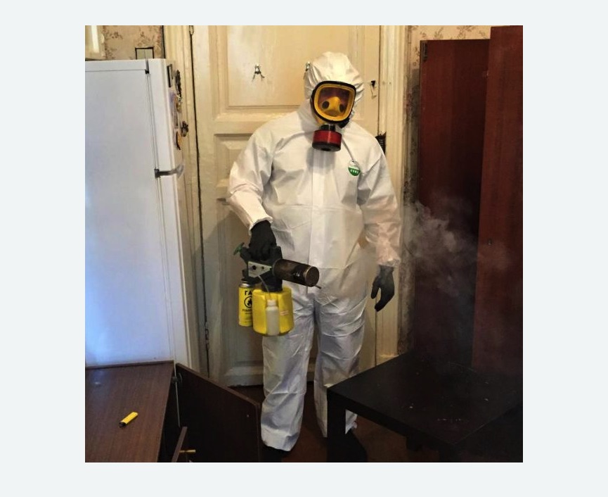 уничтожение муравьев в квартире в Фили-Давыдково города Москвы